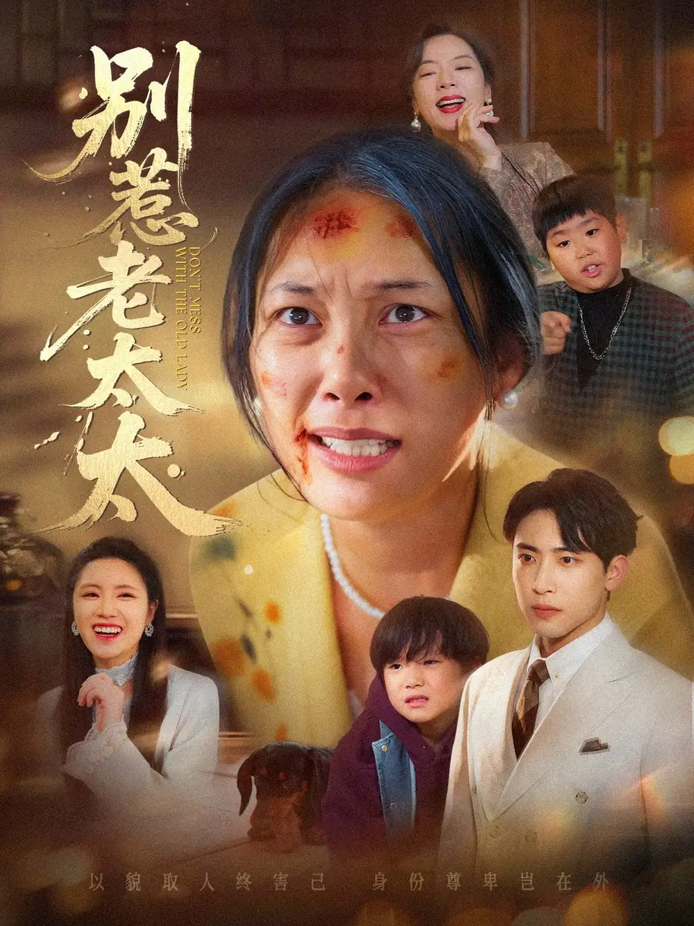 《别惹老太太＆谁说她没人撑腰（68集）陈柯宇＆赵丹》短剧全集免费在线观看