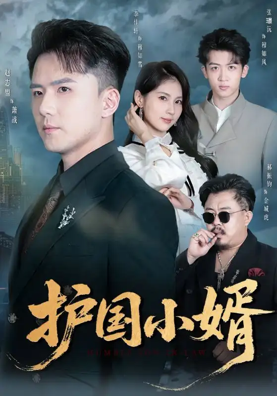 《护国小婿（60集）李佳轩&赵志盟》短剧全集免费在线观看