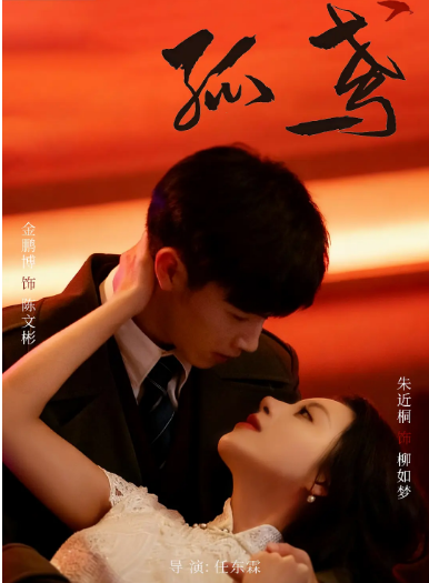 [国剧]《孤鸢》（2025）电视剧|全集高清免费在线观看