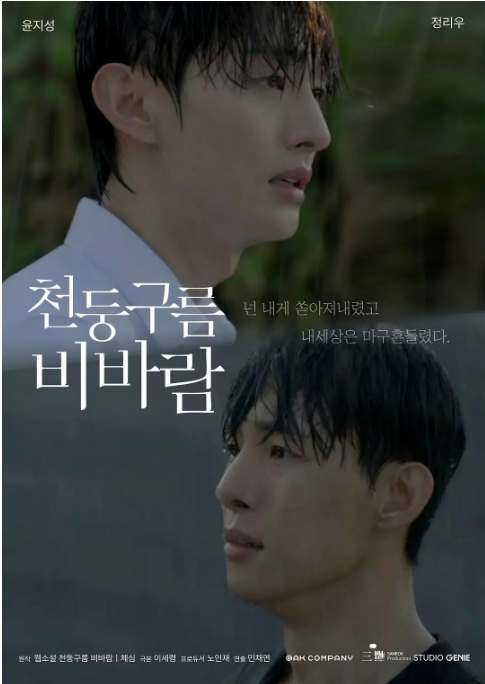 [韩剧]《雷云暴雨》（2025）电视剧|全集高清免费在线观看