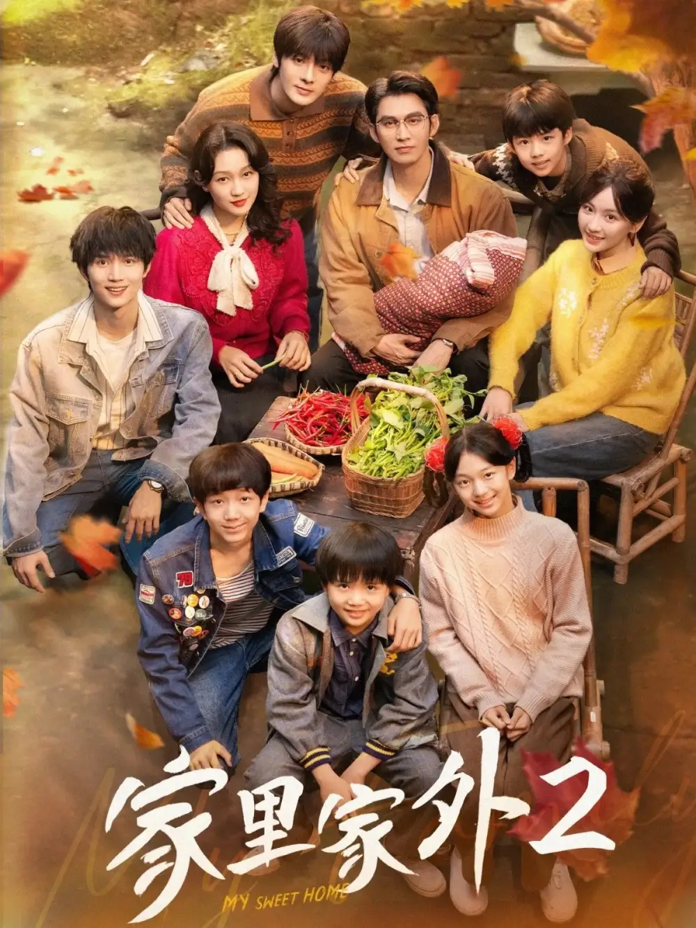 《家里家外2（111集）孙艺燃&王道铁》短剧全集免费在线观看