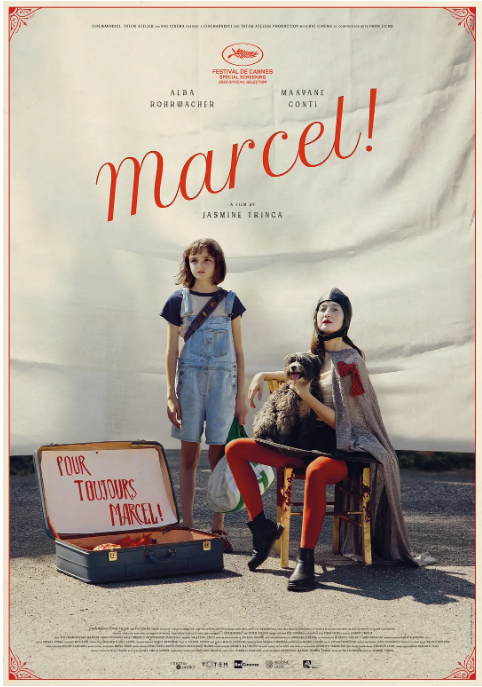 意大利电影《马赛尔》（2022）电影|全集高清免费在线观看