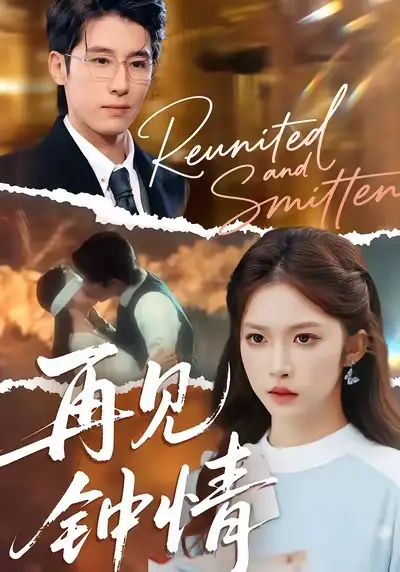 《再见钟情（100集）林枫松＆吴毅非》短剧全集免费在线观看-CD网盘社