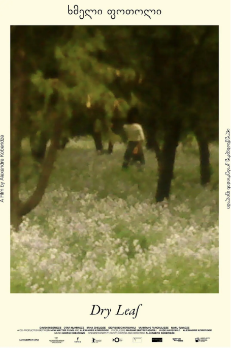 德国电影《落叶球》（2025）电影|全集高清免费在线观看