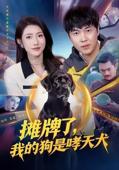 《摊牌了，我的狗是哮天犬（98集）刘晨宇&张如意》短剧全集免费在线观看-LV网盘社