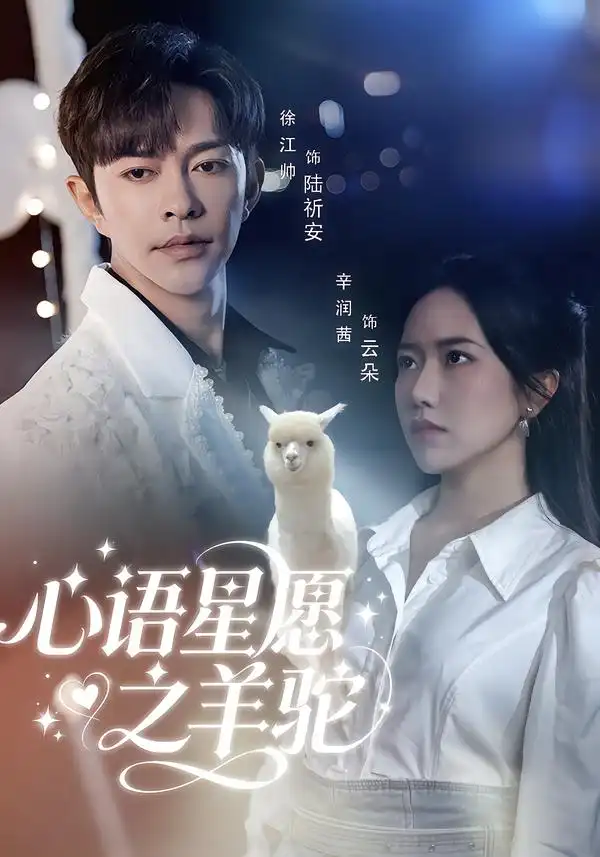 《心语星愿之羊驼（60集）徐江帅＆辛润茜》短剧全集免费在线观看-CD网盘社