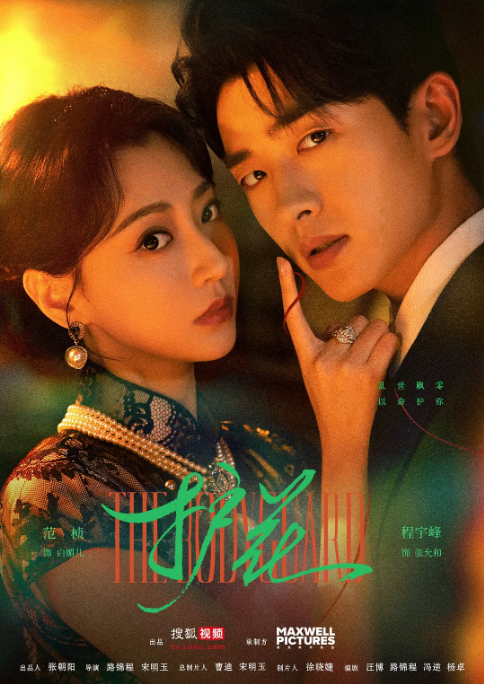 [国剧]《护花》（2025）电视剧|全集高清免费在线观看-LV网盘社