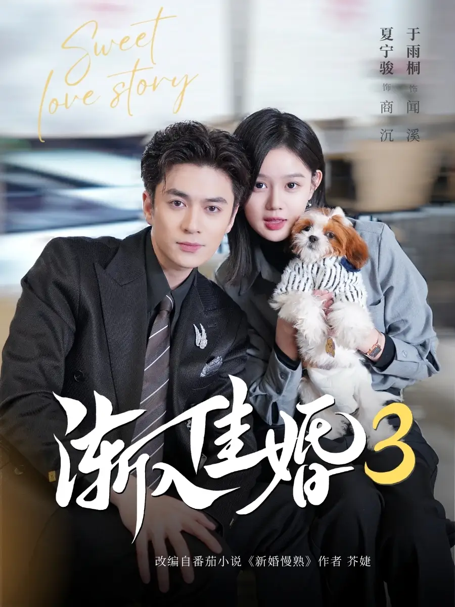 《渐入佳婚3第三部（60集）夏宁骏＆于雨桐》短剧全集免费在线观看-LV网盘社