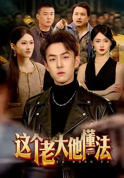 《这个老大他懂法(100集)梁超&董秋怡》短剧全集免费在线观看