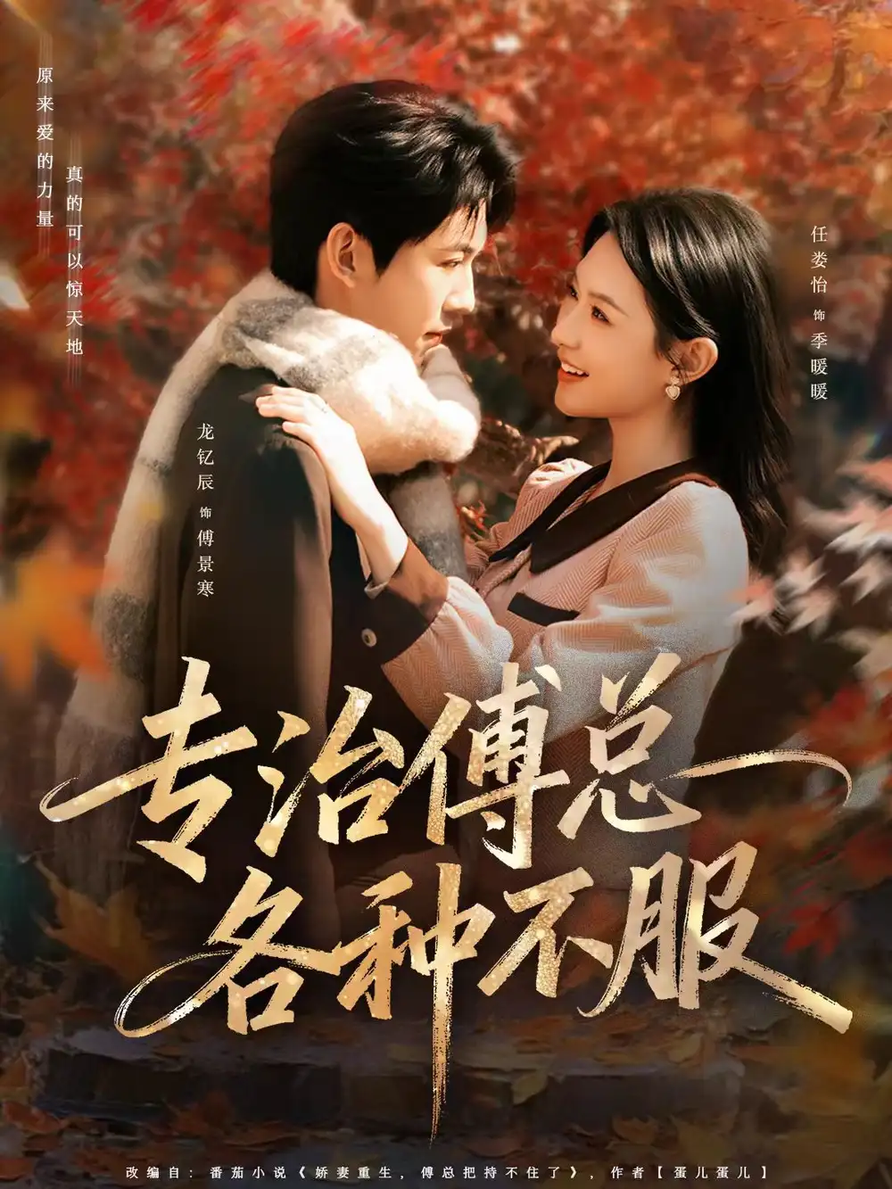 专治傅总各种不服（80集）龙钇辰＆任娄怡全集免费在线观看 - 第一搜