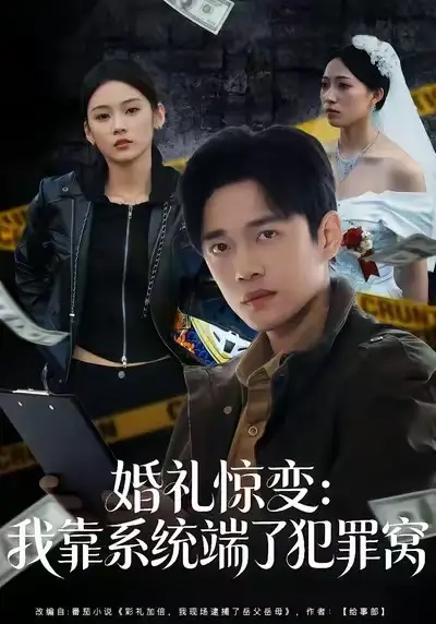 婚礼惊变：我靠系统端了犯罪窝（80集）郏元栋&李坤怡全集免费在线观看 - 第一搜