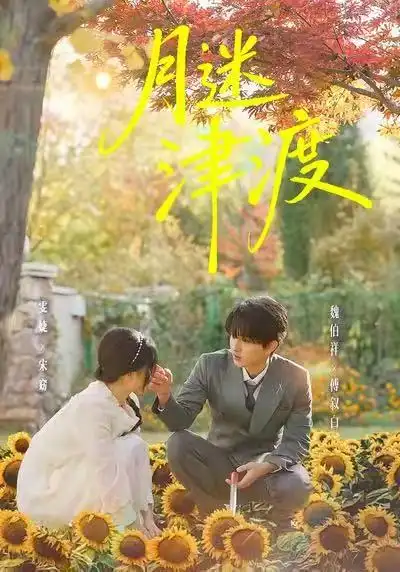 《月迷津渡（91集）雯婕＆曾旭航》短剧全集免费在线观看-CD网盘社