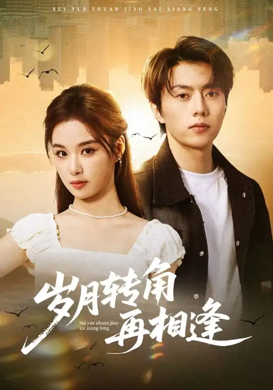 岁月转角再相逢（80集）张磊&王宇婧全集免费在线观看 - 第一搜