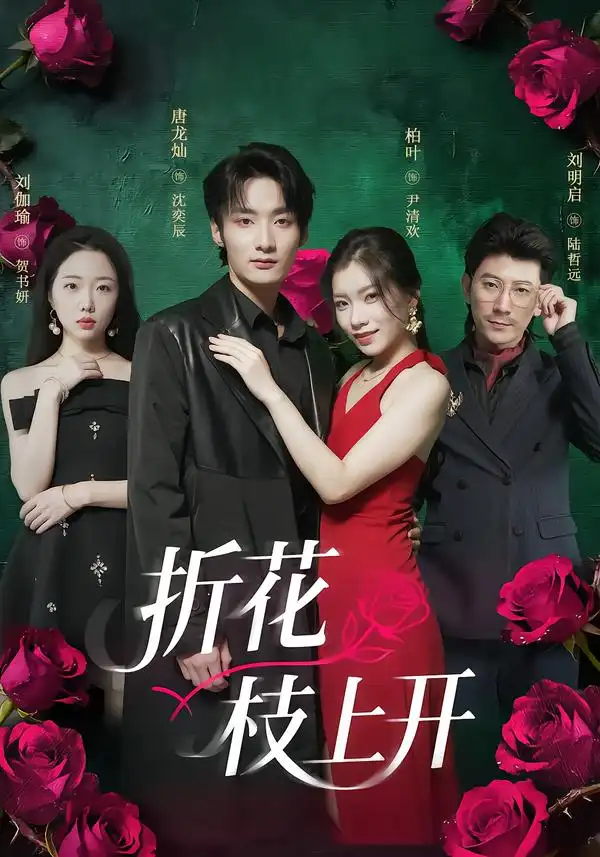 《折花枝上开（51集）唐龙灿＆柏叶》短剧全集免费在线观看-CD网盘社
