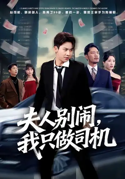 《夫人别闹我只做司机（80集）直贝贝&刘相奇》短剧全集免费在线观看-LV网盘社