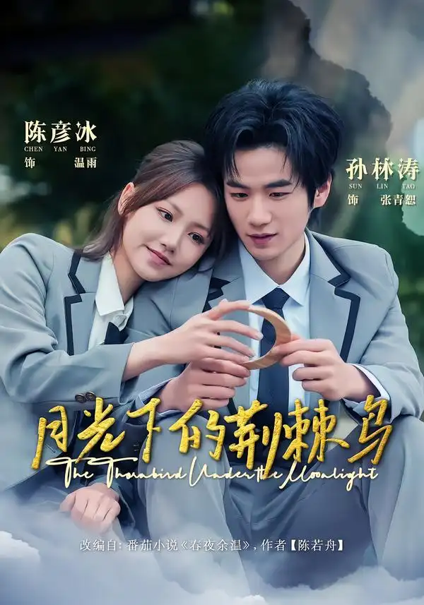 《月光下的荆棘鸟（80集）陈彦冰＆孙林涛》短剧全集免费在线观看