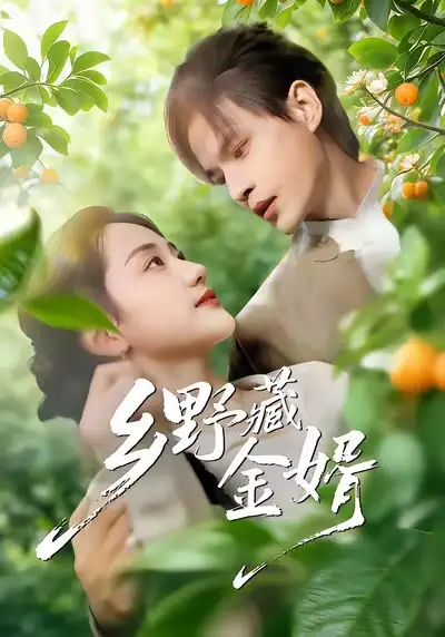 《乡野藏金婿（50集）冯琳玲＆吴杰》短剧全集免费在线观看-LV网盘社