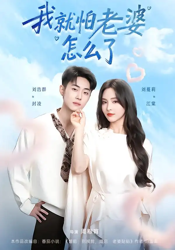 《我就怕老婆怎么了（88集）刘浩群＆刘蔓莉》短剧全集免费在线观看-CD网盘社