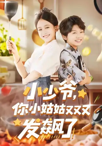 《小少爷，你小姑姑又又又发飙了（99集）》短剧全集免费在线观看-LV网盘社