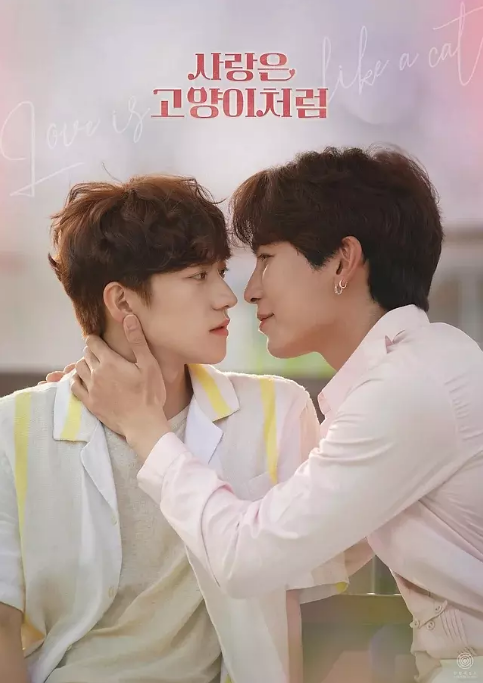 [韩剧]《爱情像猫一样》（2024）电视剧|全集高清免费在线观看-CD网盘社