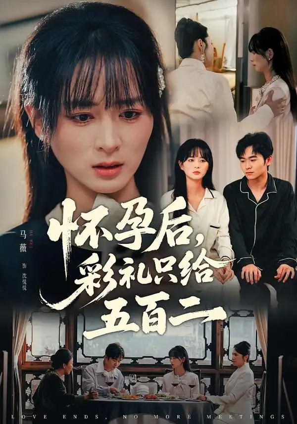 《怀孕后，彩礼只给五百二（40集）马薇&丛家梦》短剧全集免费在线观看-CD网盘社