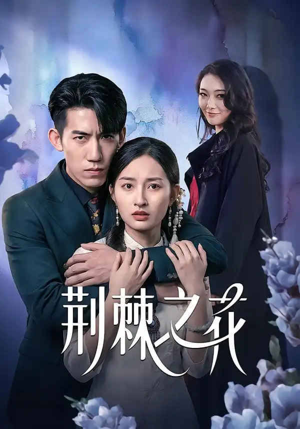 《荆棘之花（100集）杨可忻&范哲宇》短剧全集免费在线观看-CD网盘社