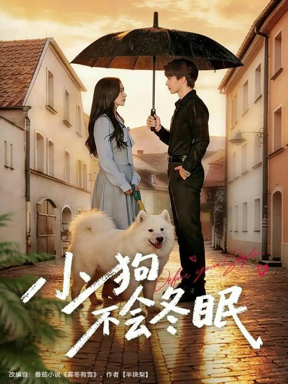 《小狗不会冬眠（70集）张皓文＆乔槿》短剧全集免费在线观看-CD网盘社