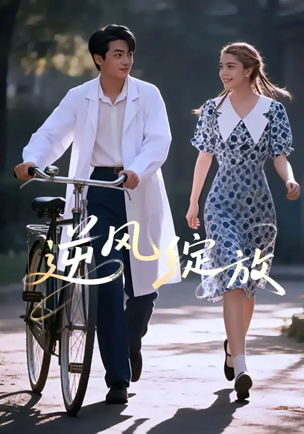 《逆风绽放（55集）迪娜DeNa&周煜枫&瓦日斯》短剧全集免费在线观看-CD网盘社