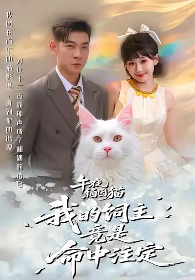 《午夜缅因猫我的饲主竟是命中注定（66集）白龙＆王之遥》短剧全集免费在线观看-LV网盘社