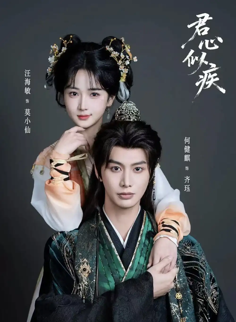 《君心似疾（80集）何健麒&汪海敏》短剧全集免费在线观看-CD网盘社