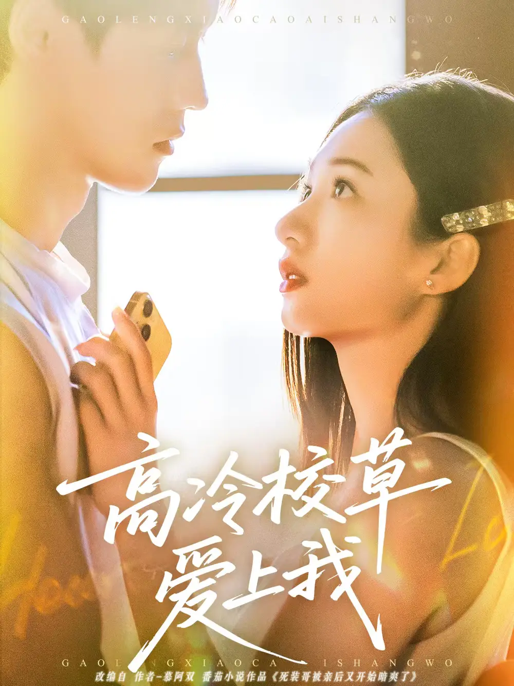 《高冷校草爱上我（80集）贺宇＆谭盐盐》短剧全集免费在线观看-LV网盘社