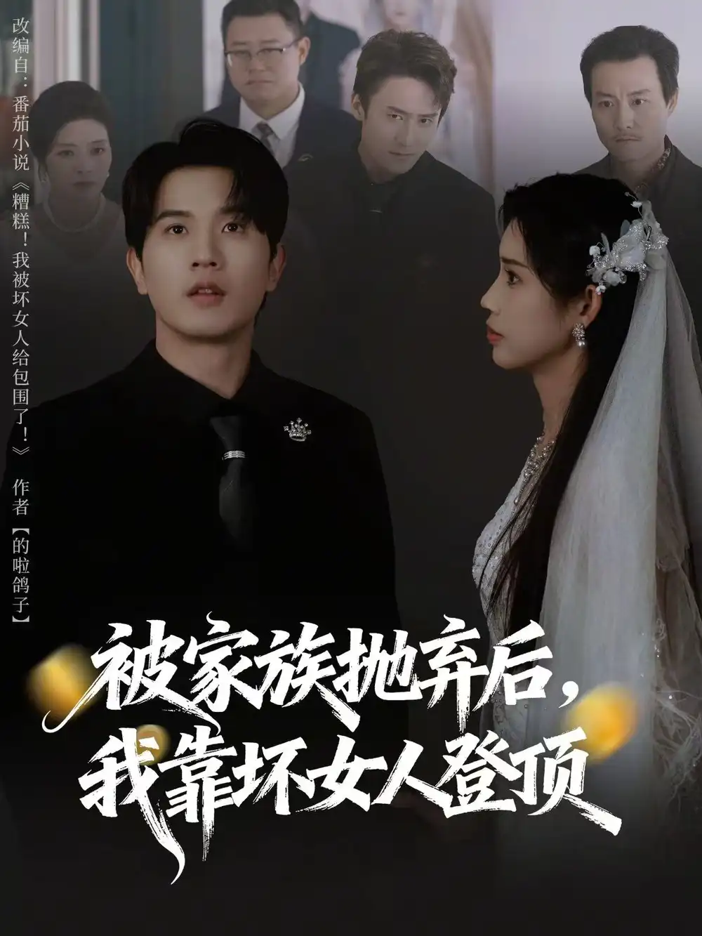 《被家族抛弃后，我靠坏女人登顶＆重生后，我靠人脉夺回少爷身份（80集）李致逸＆李可馨》短剧全集免费在线观看-LV网盘社