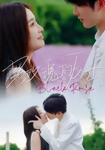 《黑玫瑰的反击（47集）裘哲夫＆焦娇》短剧全集免费在线观看-CD网盘社