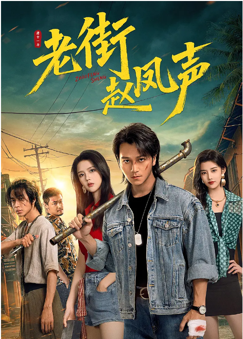 [国剧]《老街赵凤声》（2026）电视剧|全集高清免费在线观看-CD网盘社