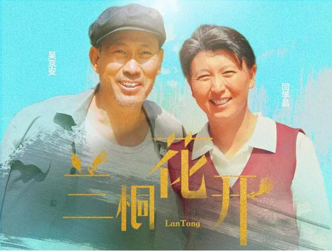 [国剧]《兰桐花开》（2019）电视剧|全集高清免费在线观看