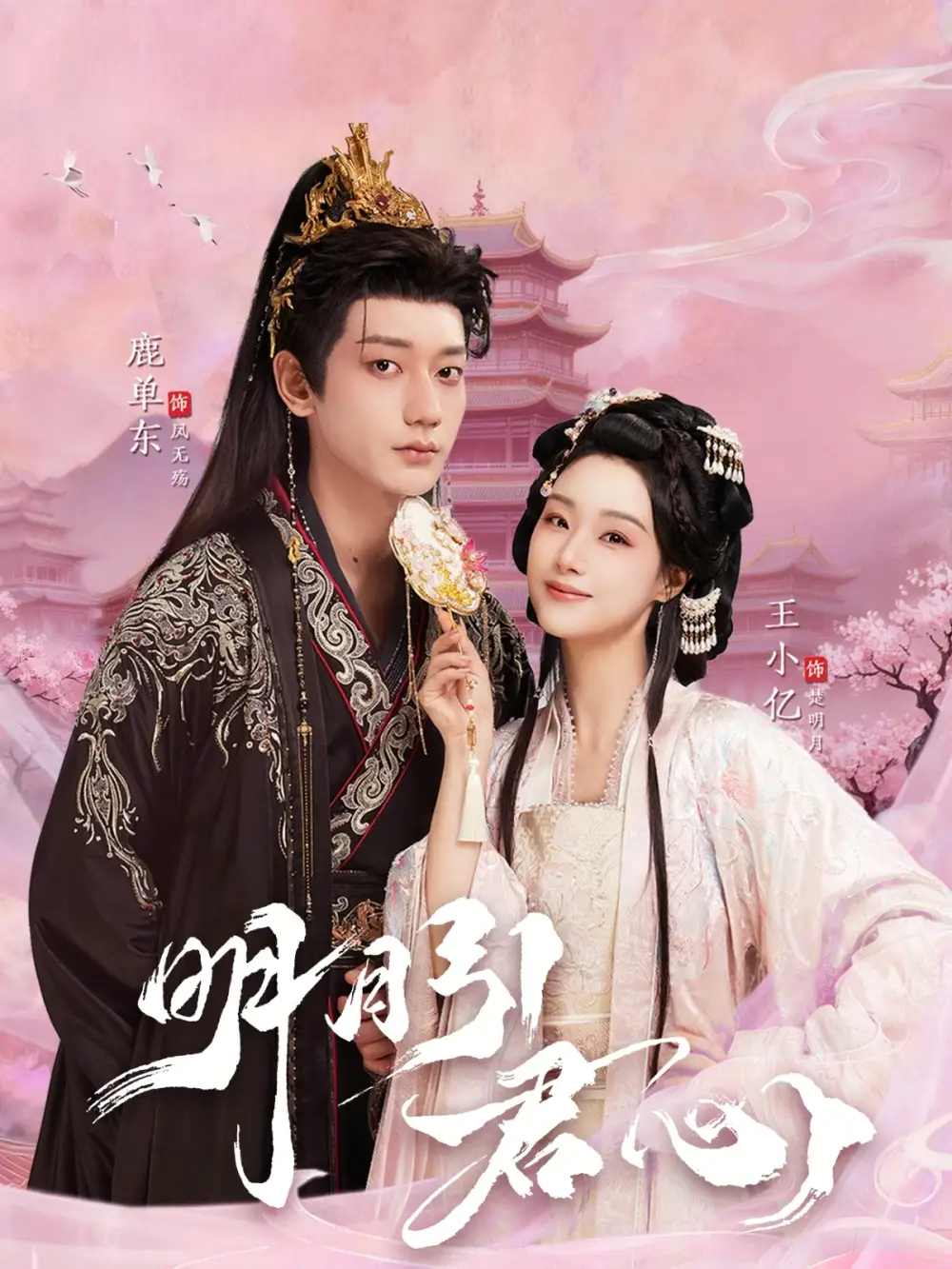 《明月引君心（74集）王小亿&鹿单东》短剧全集免费在线观看-CD网盘社