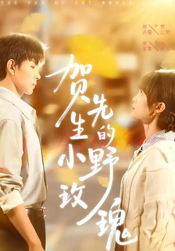 《贺先生的小野玫瑰（99集）黄玺霖&邹济隆》短剧全集免费在线观看-CD网盘社