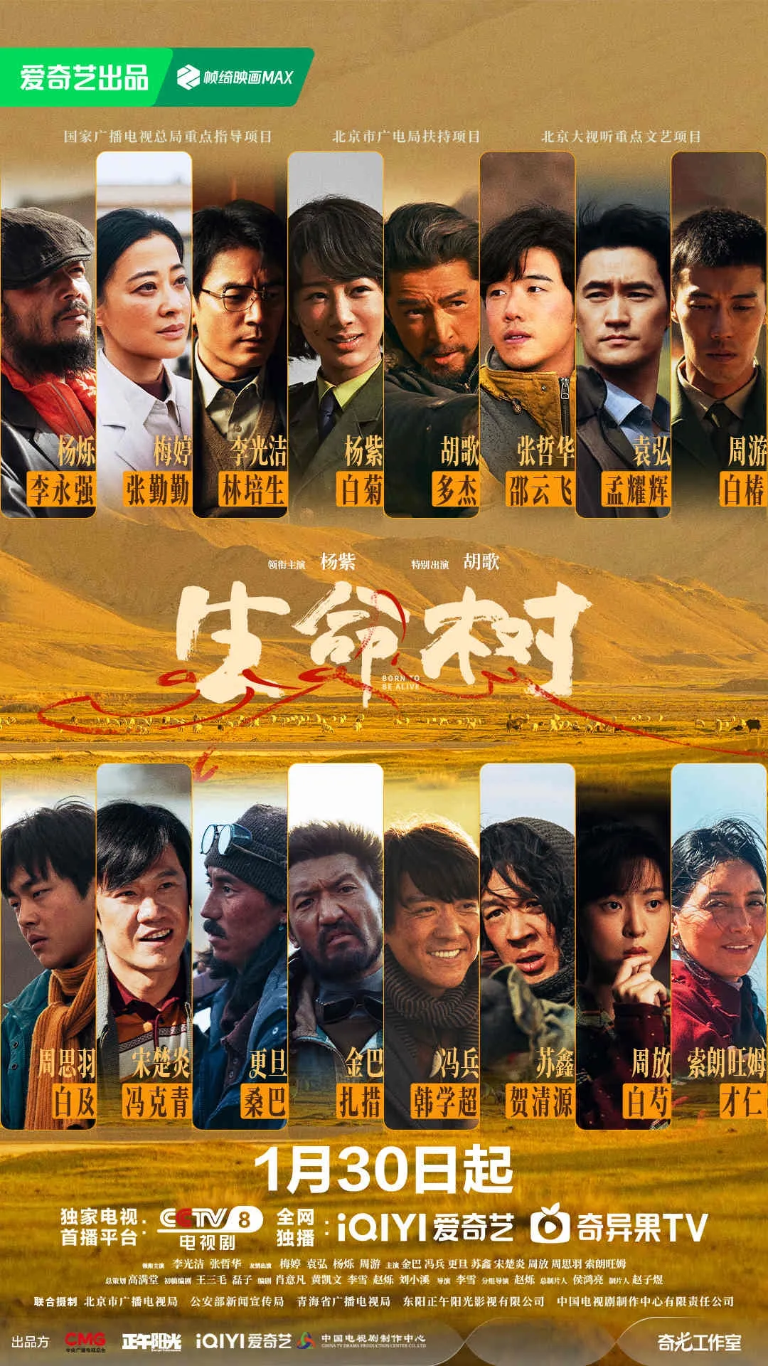 中国大陆电视剧《生命树》 [2026][杨紫 胡歌]电视剧|全集高清免费在线观看-CD网盘社