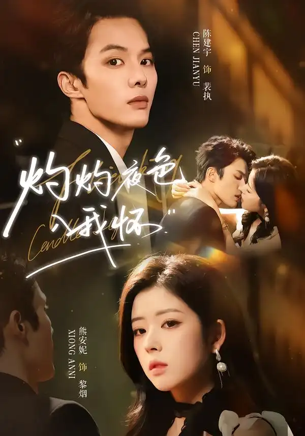 灼灼夜色入我怀（60集）陈建宇＆熊安妮全集免费在线观看 - 第一搜