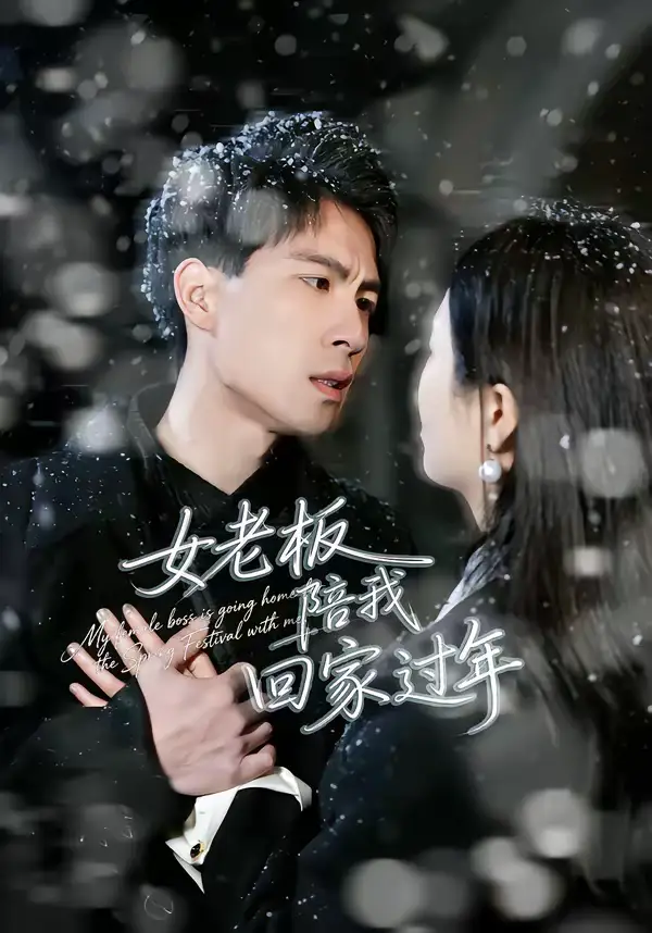 《女老板陪我回家过年（40集）罗珊珊＆贺翔》短剧全集免费在线观看-CD网盘社