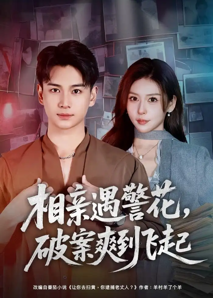 相亲遇警花，破案爽到飞起（80集）夏梦＆范高坡全集免费在线观看 - 第一搜