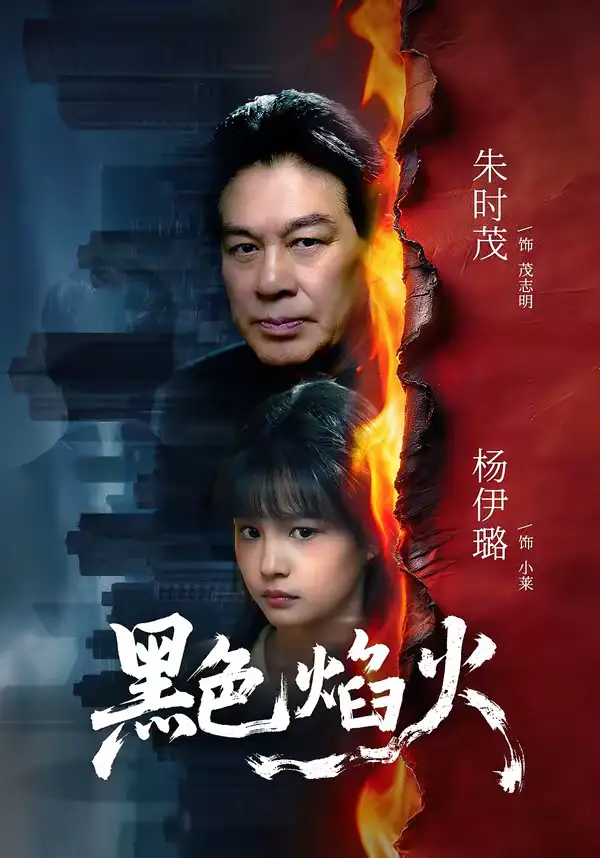 《黑色焰火(41集)朱时茂&杨伊璐》短剧全集免费在线观看-CD网盘社