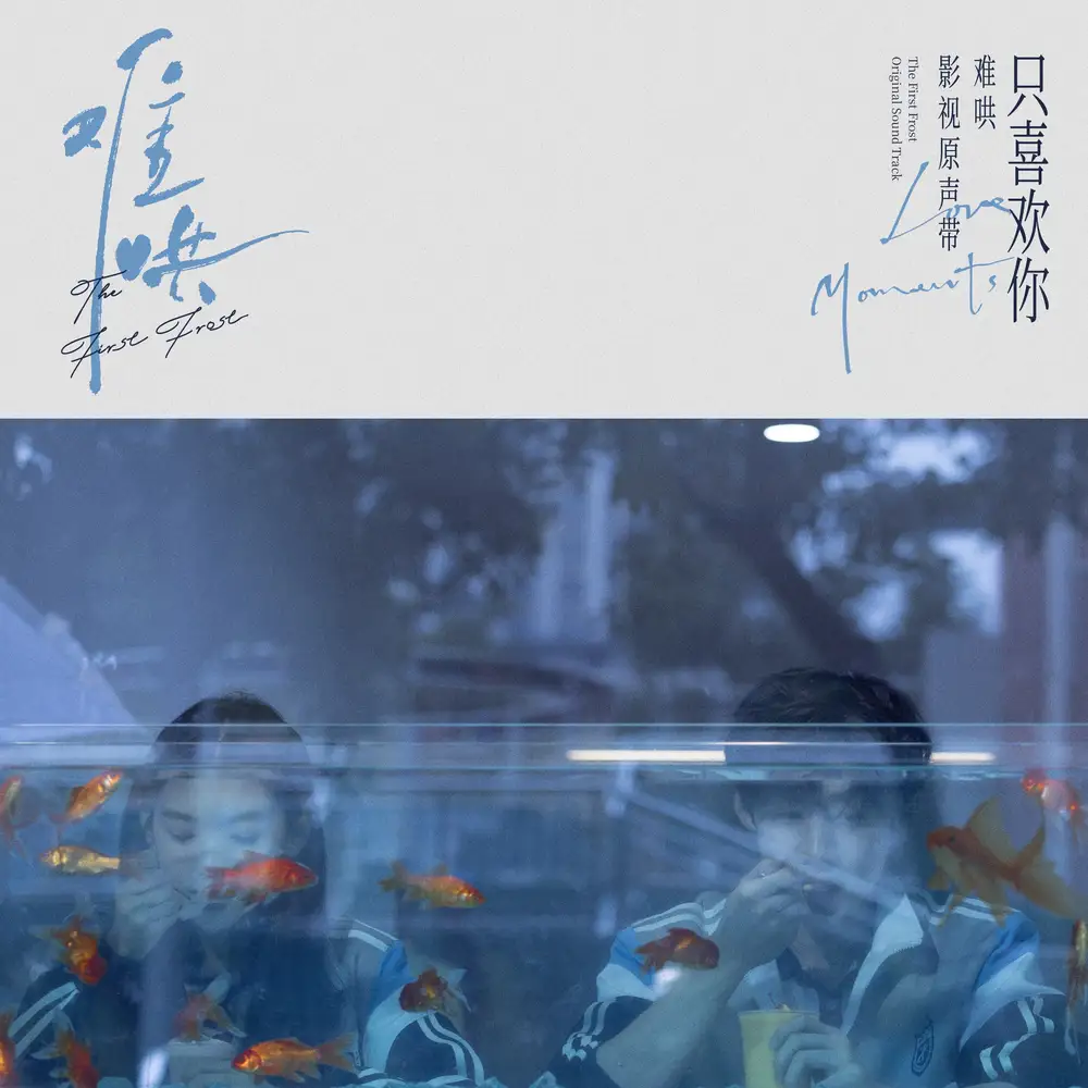 《《群星 – 电视剧难哄影视原声带·只喜欢你Love Moments》》短剧全集免费在线观看