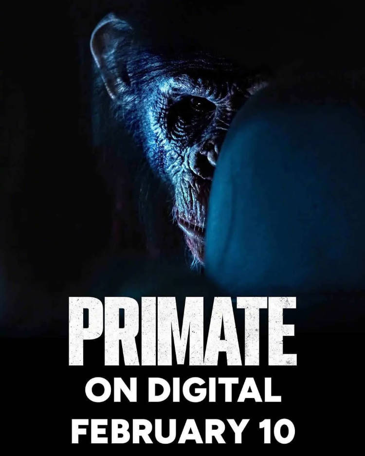 美国电影《猩疯血雨》[2025][恐怖] 豆瓣6.1电影|全集高清免费在线观看-CD网盘社