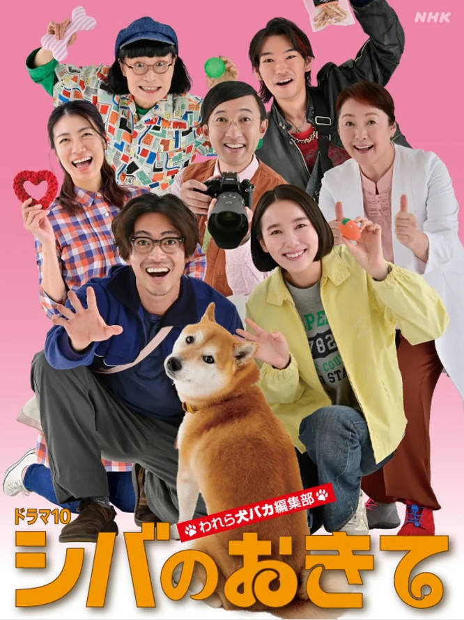 日本电视剧《柴犬的规矩～我们这群狗痴编辑部～》[2025]电视剧|全集高清免费在线观看