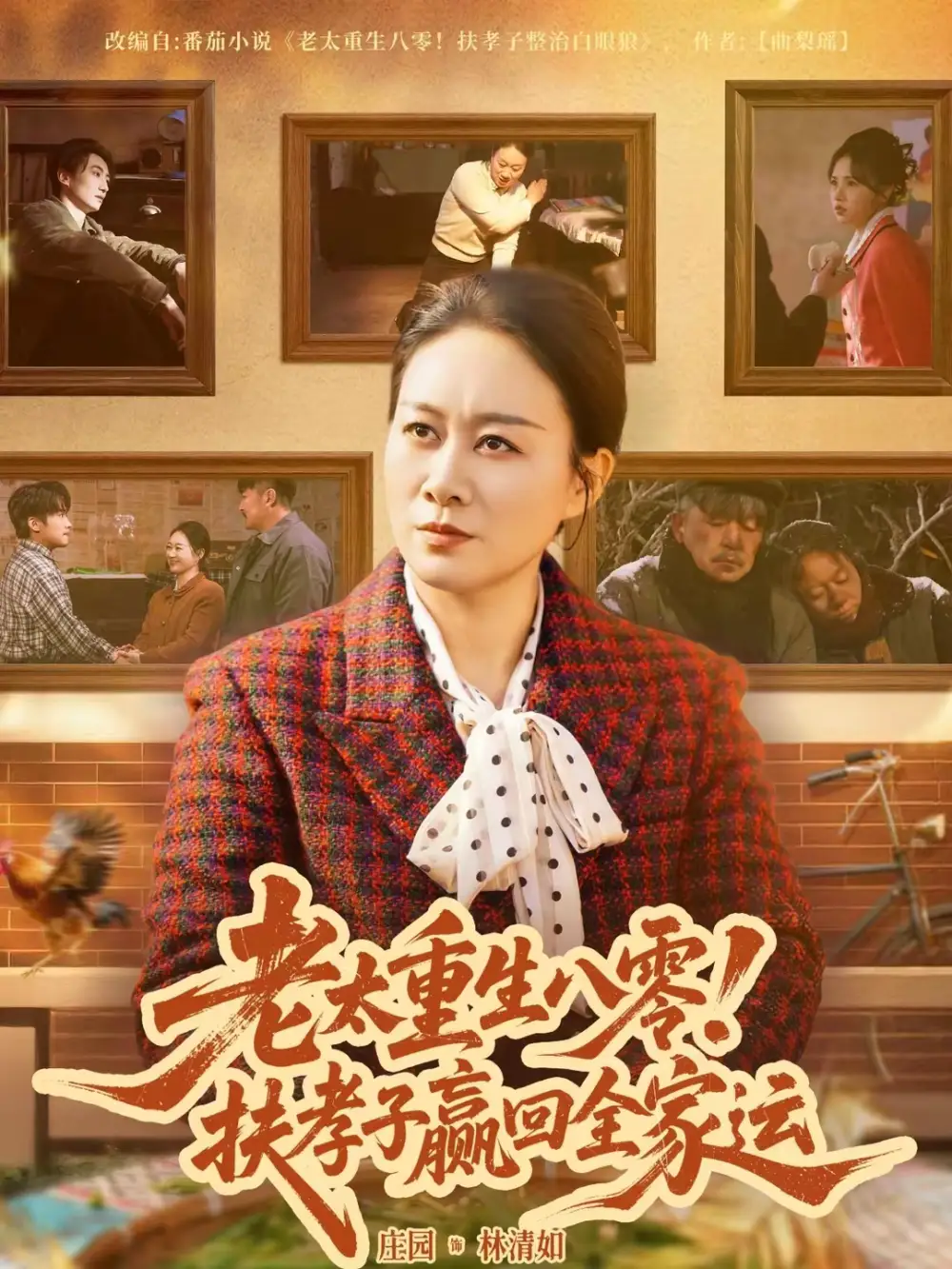 《老太重生八零！扶孝子赢回全家运（76集）庄园园》短剧全集免费在线观看-CD网盘社