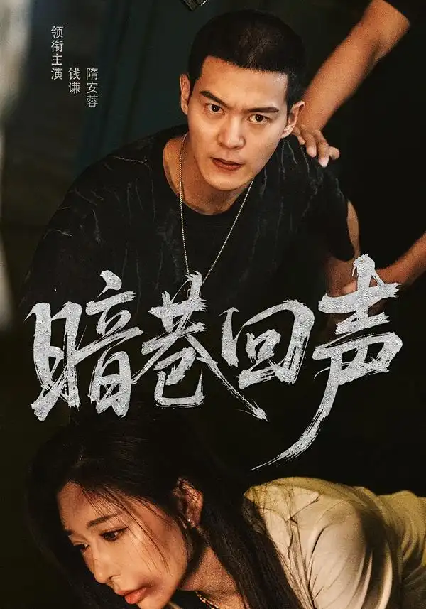 《暗巷回声（100集）隋安蓉&钱谦》短剧全集免费在线观看-CD网盘社