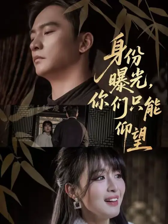 《身份曝光,你们只能仰望(78集)朱新辉&李婷》短剧全集免费在线观看-CD网盘社