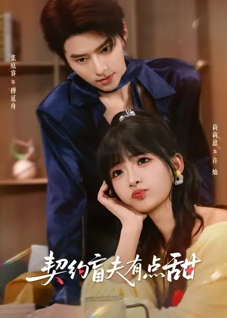 《契约盲夫有点甜（63集）张庭睿＆莉莉崽》短剧全集免费在线观看-CD网盘社