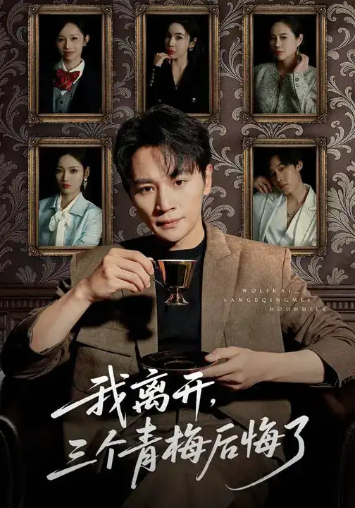 我离开，三个青梅后悔了（45集）随嘉兴&张湘&娜吉玛全集免费在线观看 - 第一搜